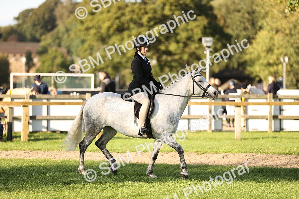 SBM_29607 - S7 - Novice & Newcomers Ridden Pony