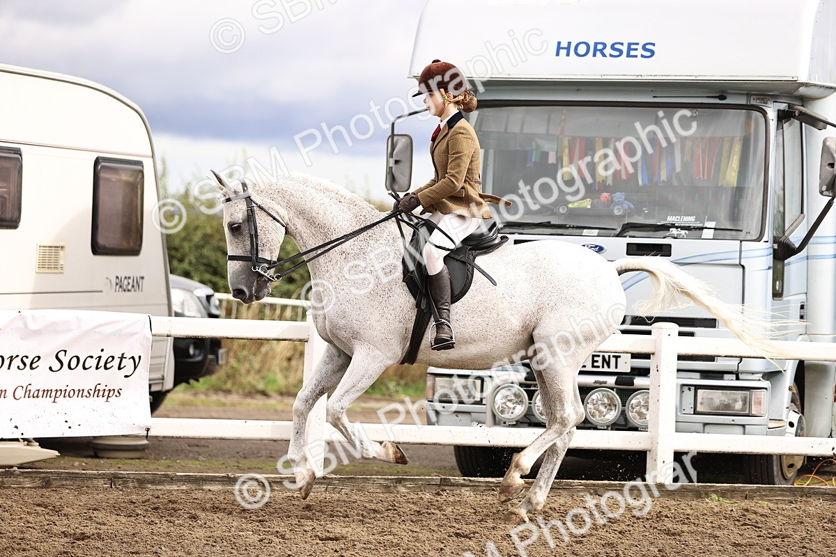 SBM_00588 - Class 53 - Ridden Competition Horse Pony