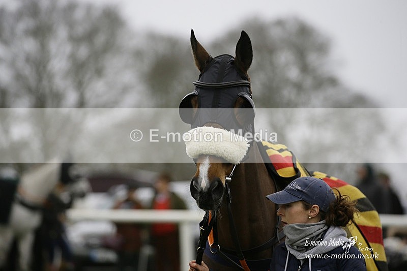 PtP 200222 10 - Countryside Alliance PtP Badbury Rings 20/02/22