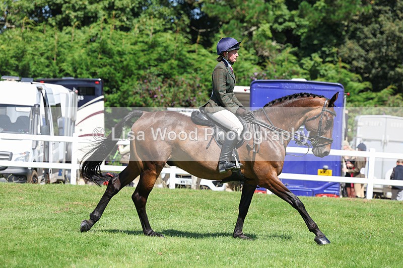 3E7A8967 - Class 6: Open Working Horse