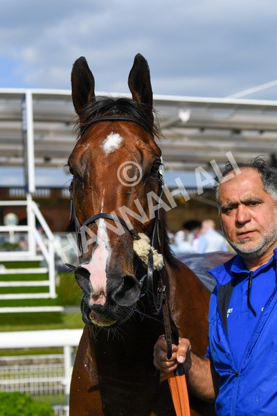 270523-Race 7-Shining Blue-1053 - Race 7 5.00pm Reg Bond Always And Forever Handicap
