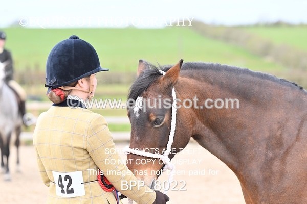 BPP_8022 - SUPREME CHAMPIONSHIP