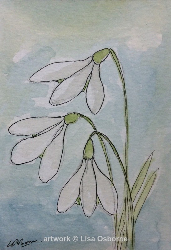 Snowdrops - Flowers
