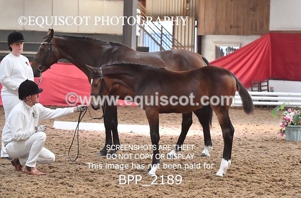 BPP_2189 - AFTERNOON 12.30 - 3.30PM