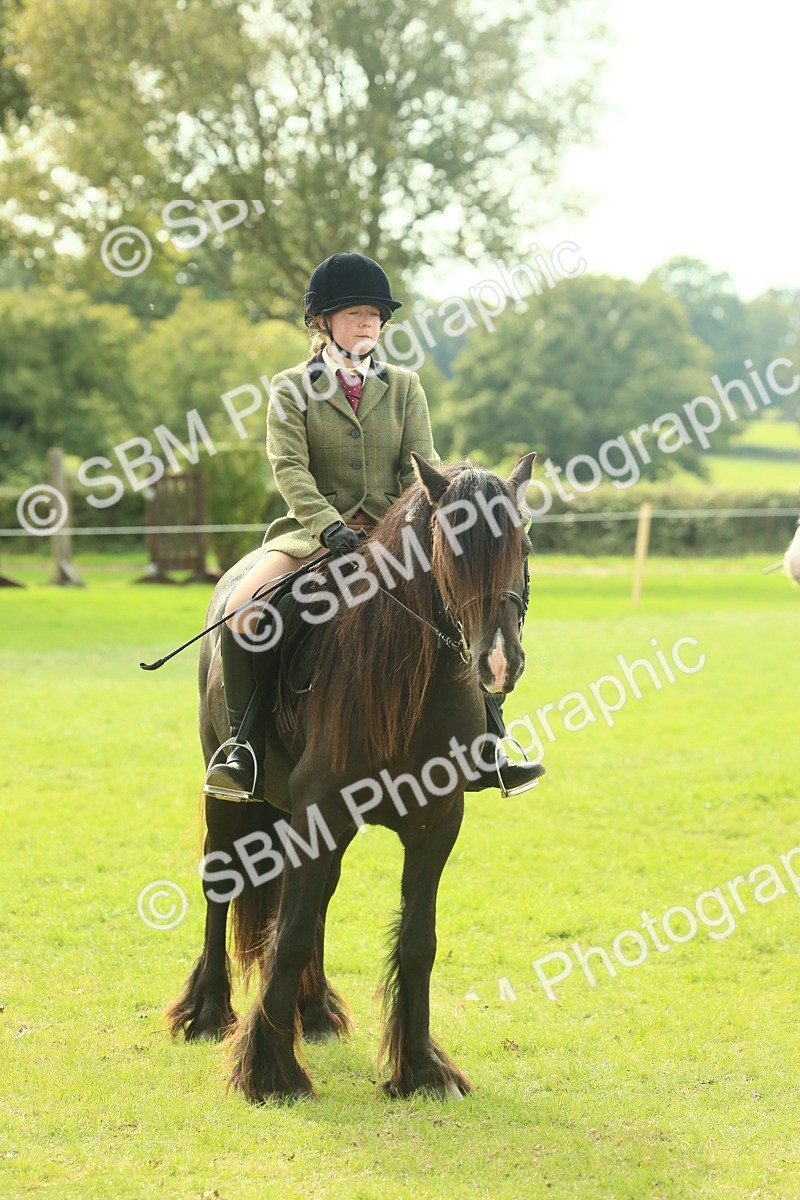SBM_69345 - S58 - Mini Show Cob Ridden