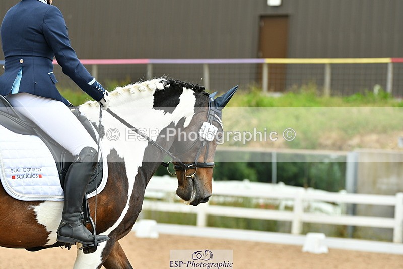 230701A-123007-05747 - Cls 7 Elementary 45