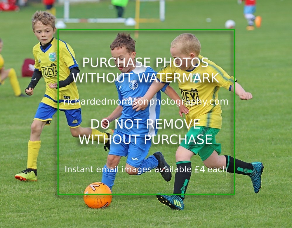 WU839 - Wattsfield U8 (2/7/22)