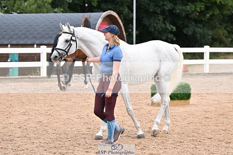 250716-140514-00902 - Trot Up 1.30 to 2.30