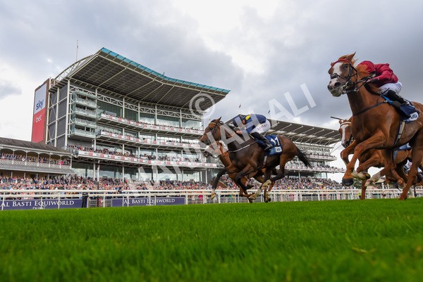 240823-Race 5-Sea Theme-1293 - Race 5 4.10pm British EBF & Sir Henry Cecil Galtres Stakes