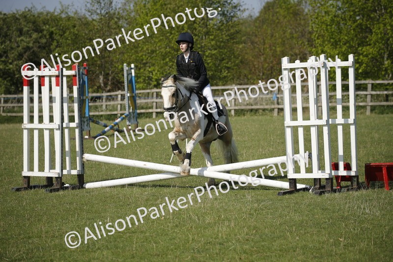 20250427-0376 - Class 12 - Rookie Jumping 40cm