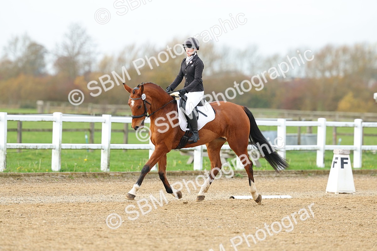 SBM_003558 - Class 6 - Novice 2