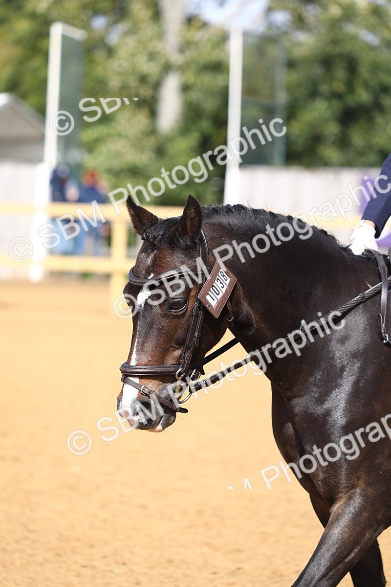 SBM_42680 - D21 - Junior Championship Intro 1