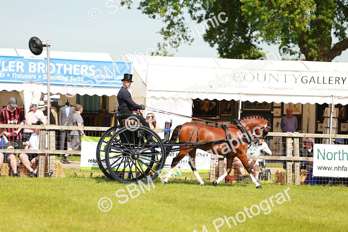 SBM_02863 - Class 2-4 - HOYS Private Driving