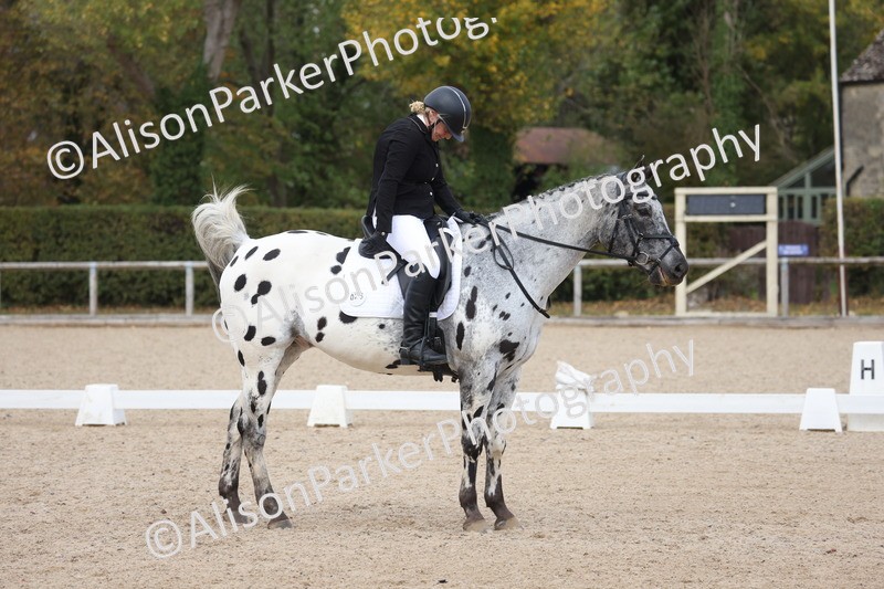 20261010-0717 - Class 6 - Novice 2