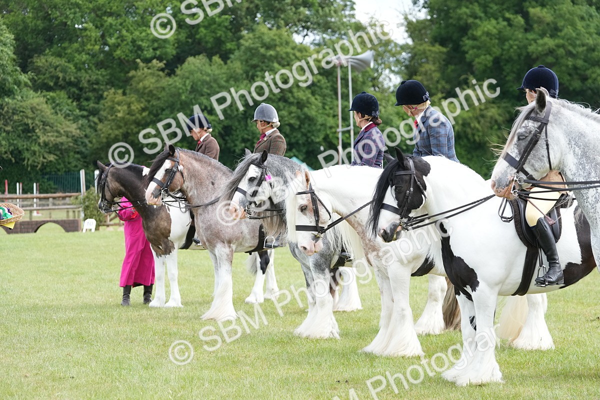 SBM_17317 - Class 107-108 - LIHS BSPS Performance Coloured Horse Pony