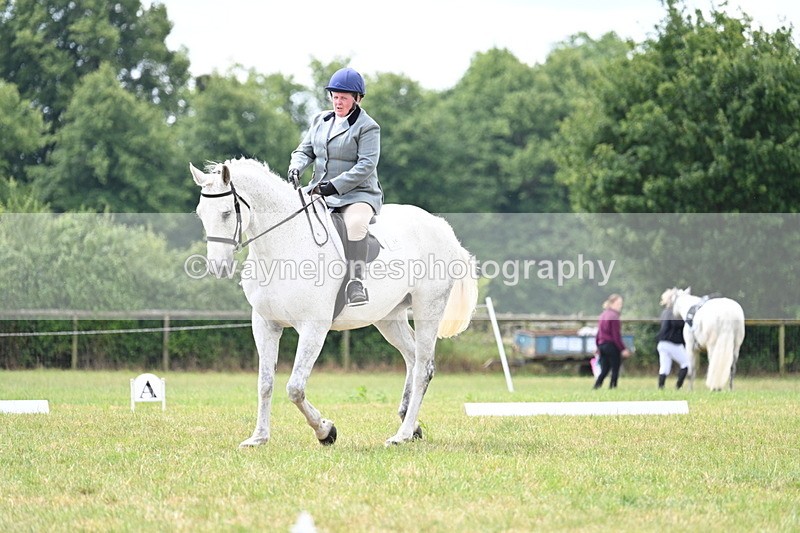 WJ7_5008 - Time 11:22 to 11:51