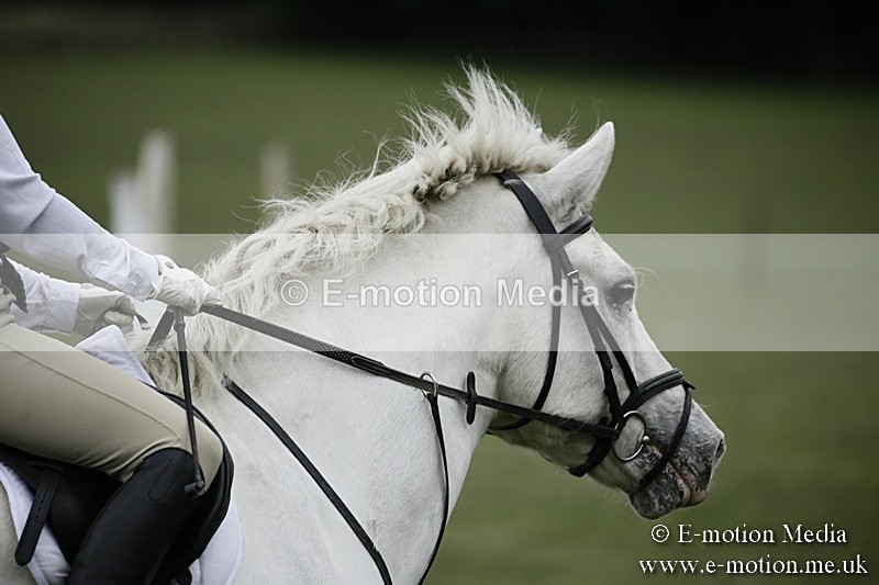 BVR080918 394 - BVRC Novice Dressage & CR 08/09/18