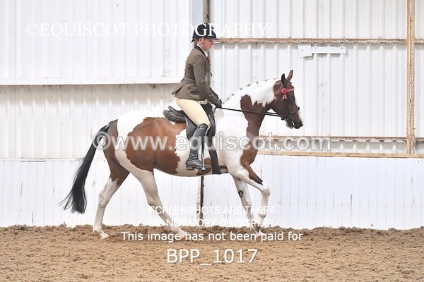 BPP_1017 - RING 2