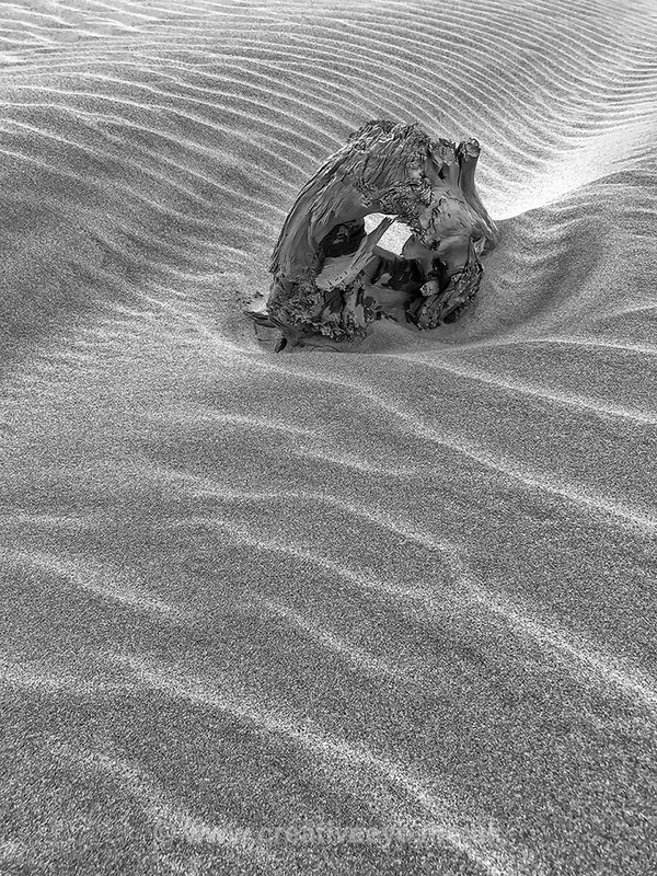 No.0062. Beach art, Puponga, New Zealand. - Landscape