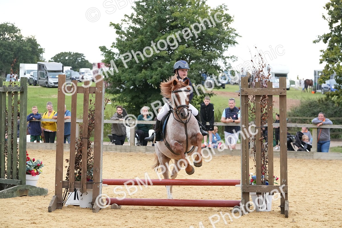 SBM_74525 - J4 - Mini Tour Junior Pony 45cm Championship