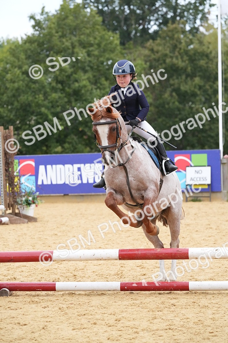 SBM_74521 - J4 - Mini Tour Junior Pony 45cm Championship