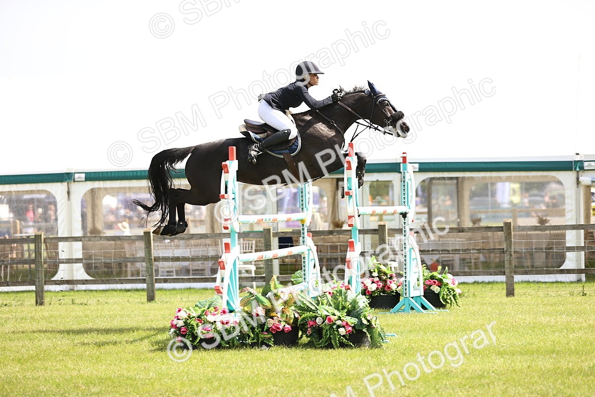 SBM_03066 - Class 201 - British Horse Feedds Speedi Beet HOYS Grade C