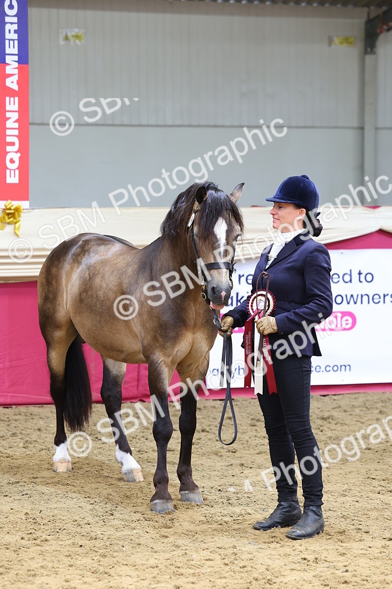 SBM_22936 - Class 903 - Supreme Final - IH Pre Vet