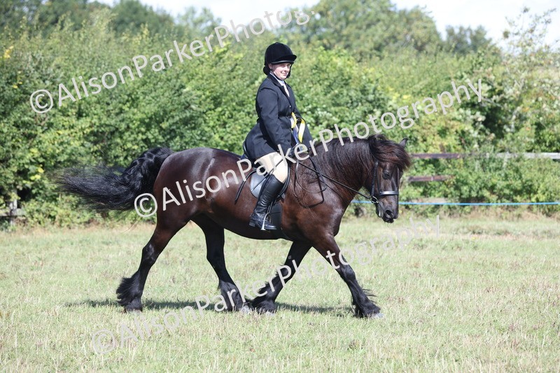 20250831-2581 - Class 16 - Family Pony