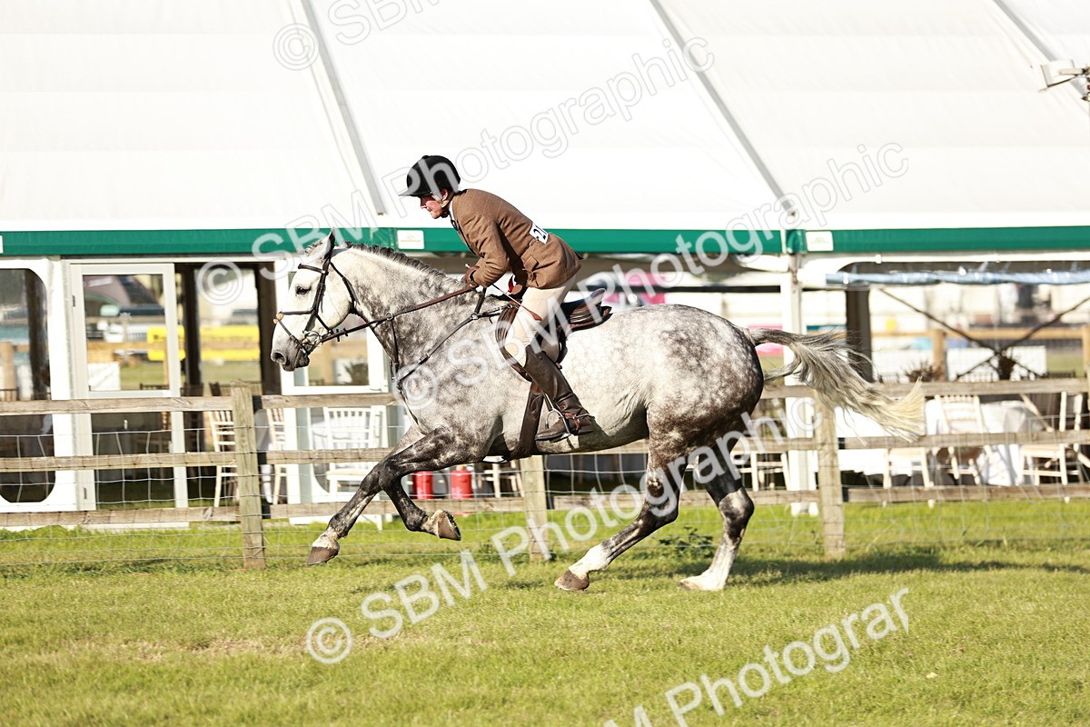 SBM_20111 - Class 115-116 - LIHS BSHA Rising Star Working Hunter & Show Horse