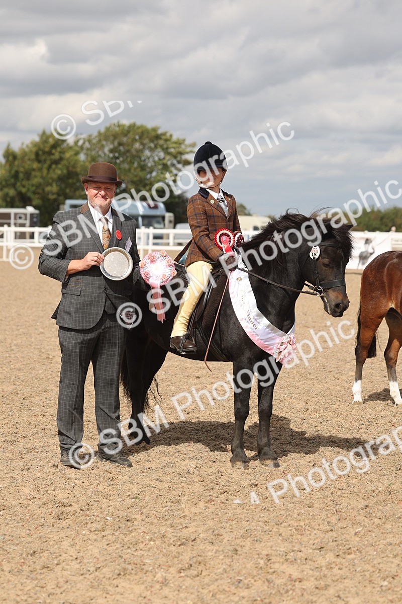 SBM_15914 - Class 310 - First Ridden Pony