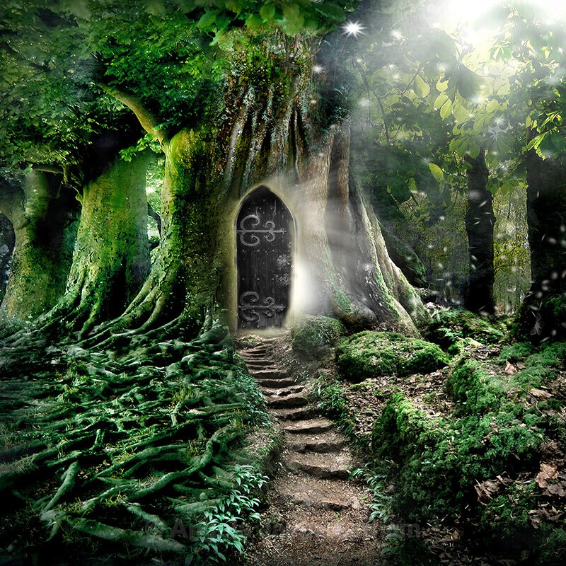 The magic Door - Square Magic & Mystery Prints
