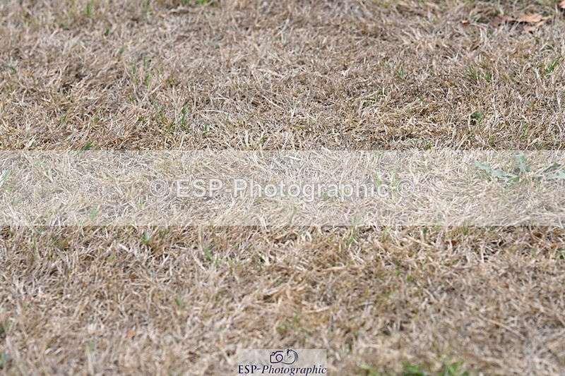 250820A-175345-12342 - Wednesday Presentations