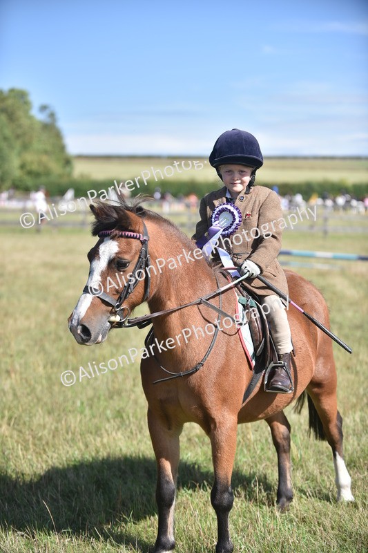 20260906-1021 - Class 7 - Absolute Novice Jumping 35cm