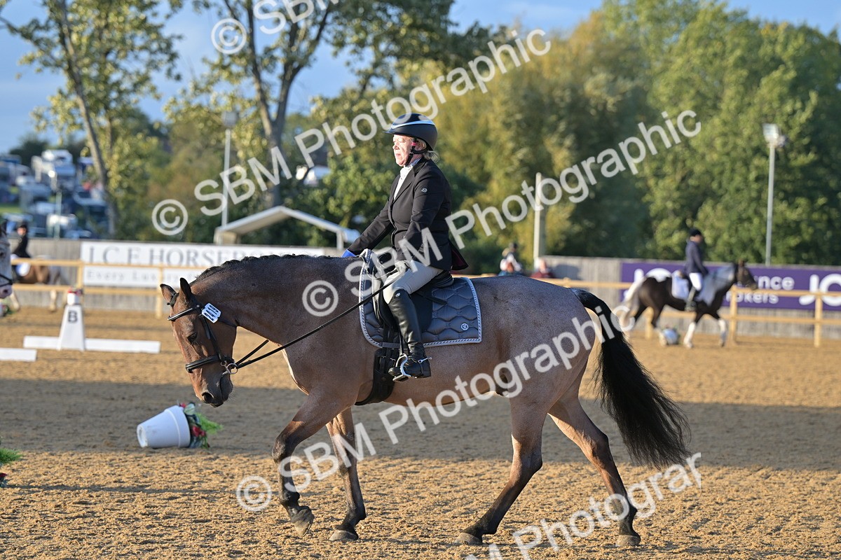SBM_13303 - D3 - Small Tour Championship Intro 3