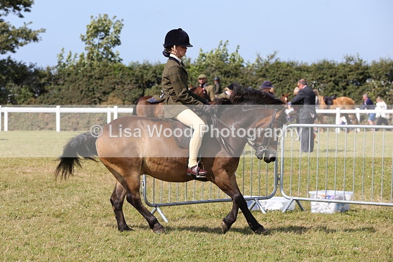 1X9A5582 - Class 39: NPS Dartmoor, Exmoor, Shetland