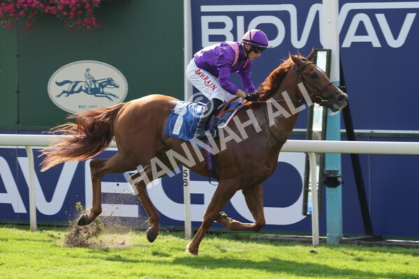 yr05092021r3-14 - Race 3 3.15pm The BioWaveGo Garrowby Stakes