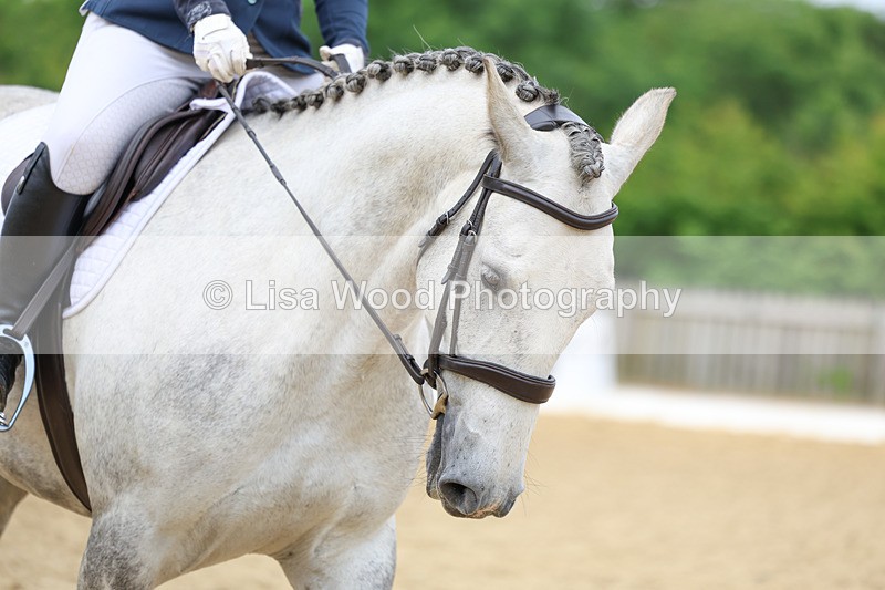 3E7A9265 - Class 2: Intro 1 2024 Section B