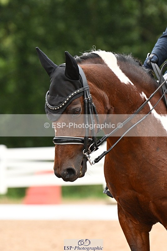 240815A-102518-00600 - 138-Philippa.Williams-Pocahontas.lV