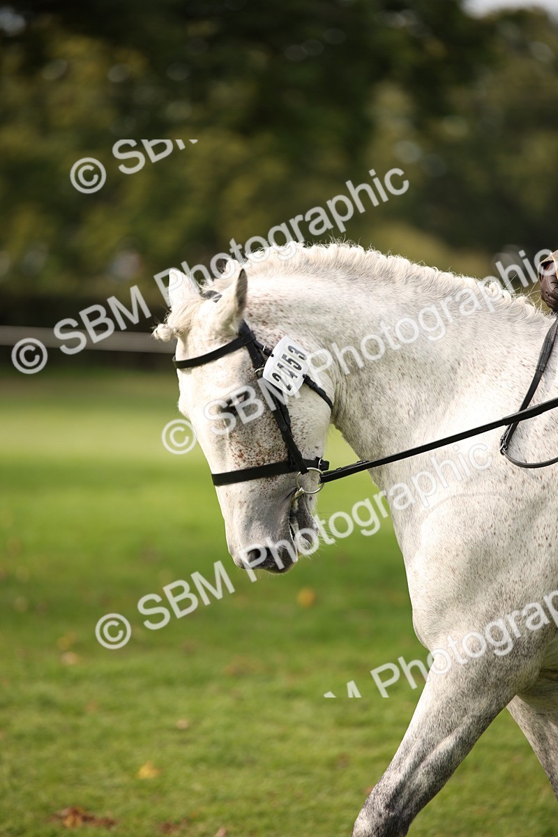 SBM_70414 - S66 - Hunter Ridden