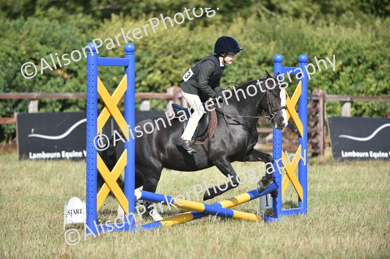 20260906-0980 - Class 7 - Absolute Novice Jumping 35cm