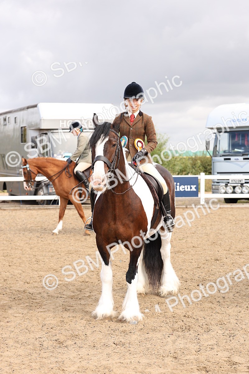 SBM_04308 - Class 54 - Riding Club Horse/Pony