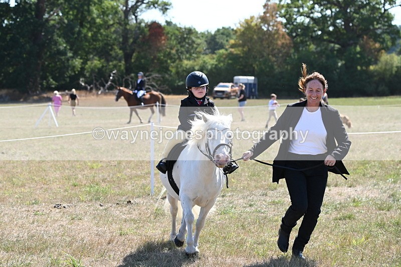 WJ6_7892 - Class 36 Lead Rein