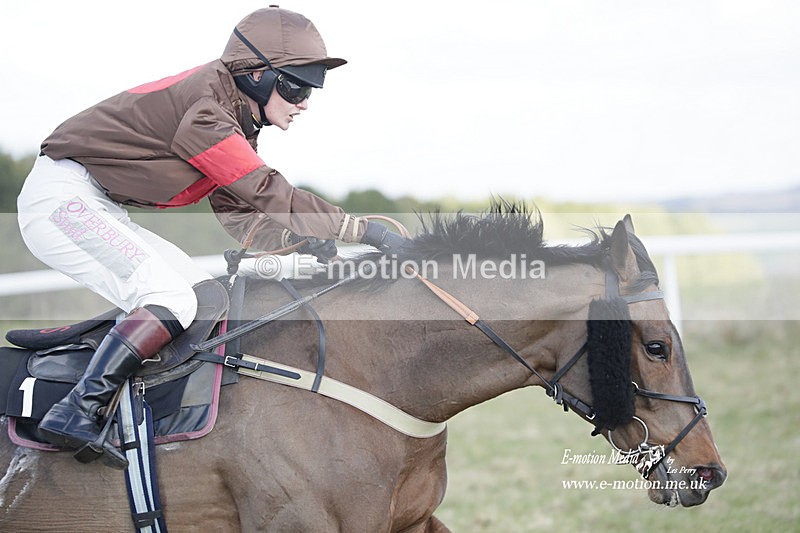 PtP 260223 668 - South & West Wilts Point-to-Point Larkhill 26/02/23