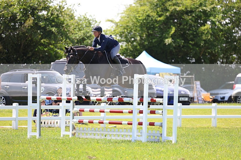3E7A1225 - Class 12: Senior Foxhunter/1.20 open