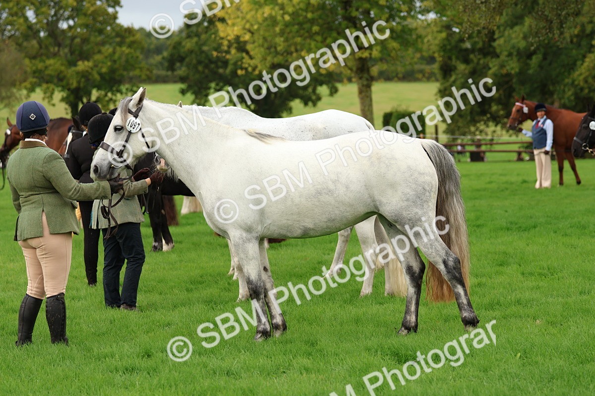 SBM_32846 - S8 - Best Turned Out