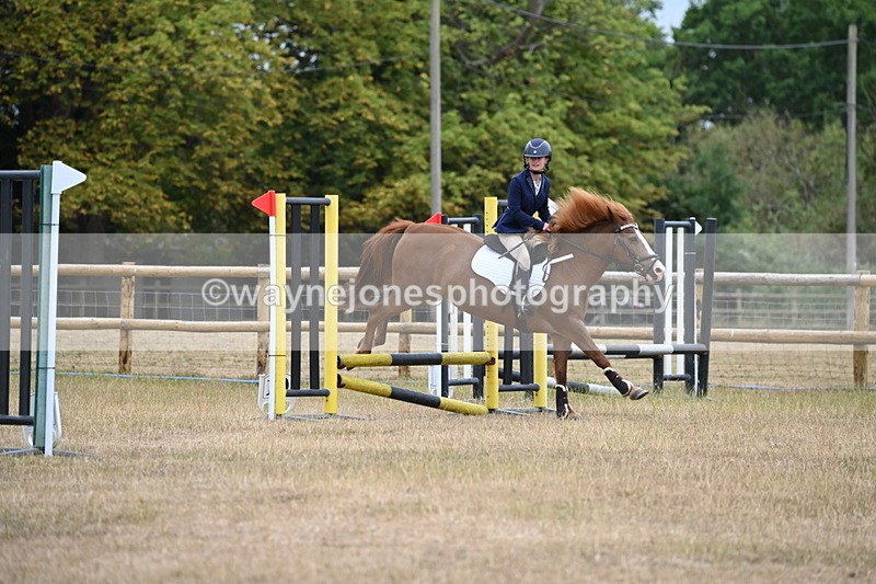 WJ6_0221 - Class 13 Novice Jumping 60cm