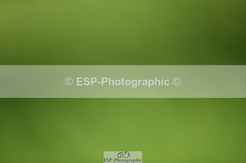 240605-161518-01377 - Cls 11-13 FEI PSG and Inter