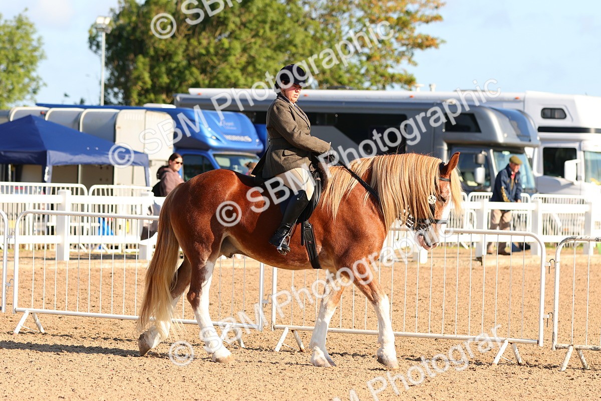 SBM_08165 - Class 202 - Best Turned Out -  Ridden