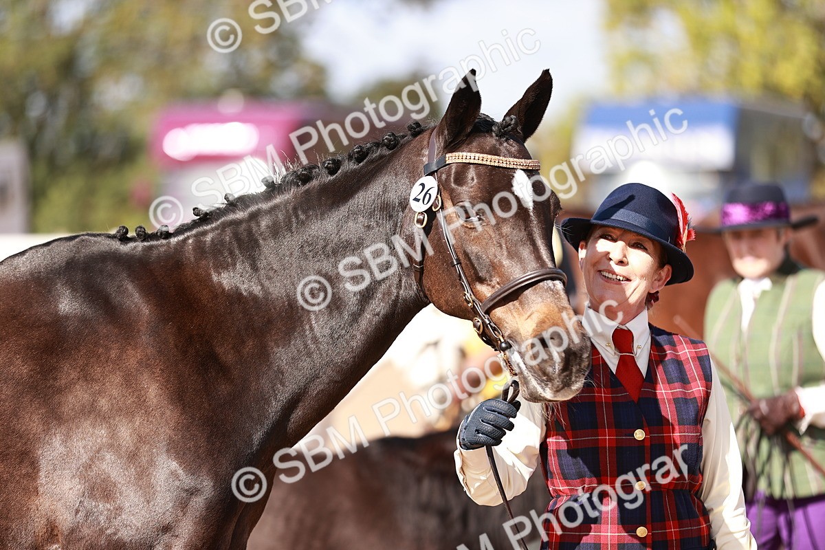 SBM_22805 - Class 705 - IH Combination 65+