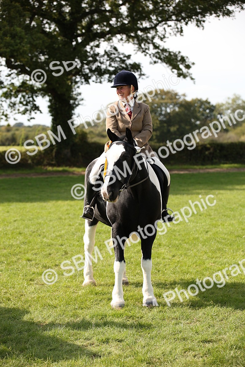 SBM_70151 - S65 - Piebald & Skewbald Horse Ridden